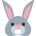 :tw_face_rabbit: