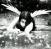 Claudi*