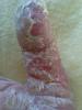 post-29187-0-25988600-1330122705_thumb.jpg