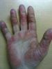 post-29187-0-26883400-1330122458_thumb.jpg