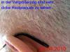 post-25672-035788700 1287142012_thumb.jpg