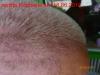 post-25672-098832900 1287142102_thumb.jpg