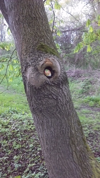 IMAG0559.jpg