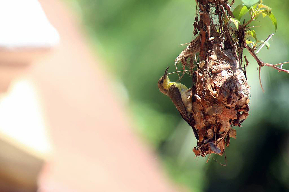 IMG_4760.JPG
