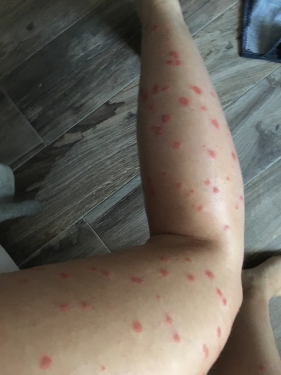 Datei 24.05.17, 08 32 19.jpeg