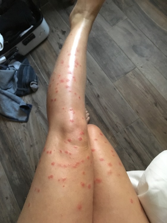 Datei 24.05.17, 08 31 06.jpeg