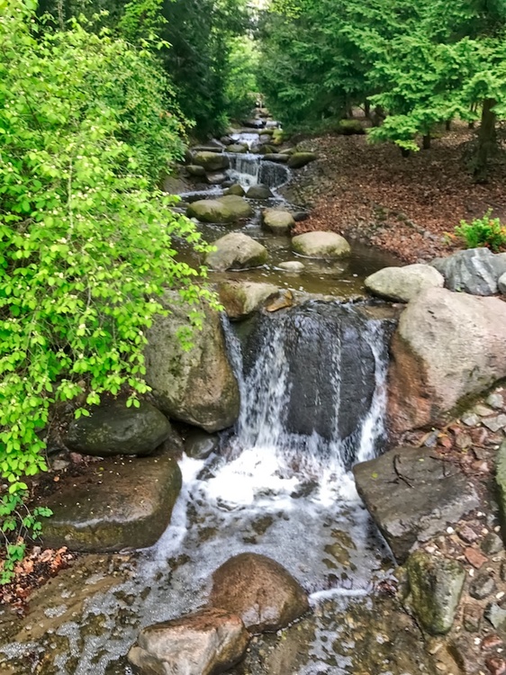 steinbergparklauf2.jpeg