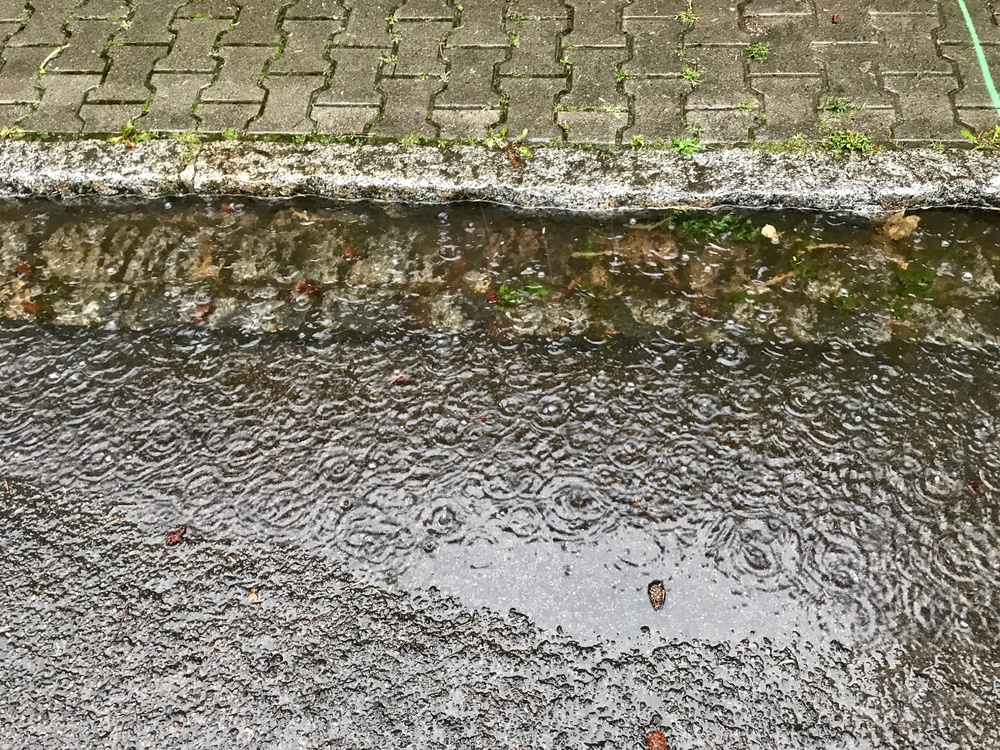 regen.jpeg