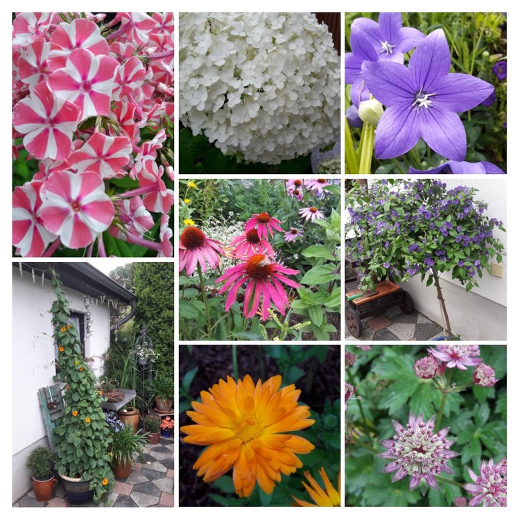 23.07.17 420.jpg
