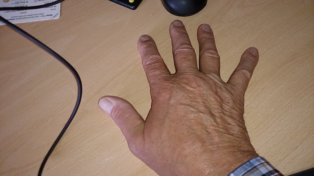 Das_ist_meine_Hand.JPG