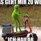 Lotta1984
