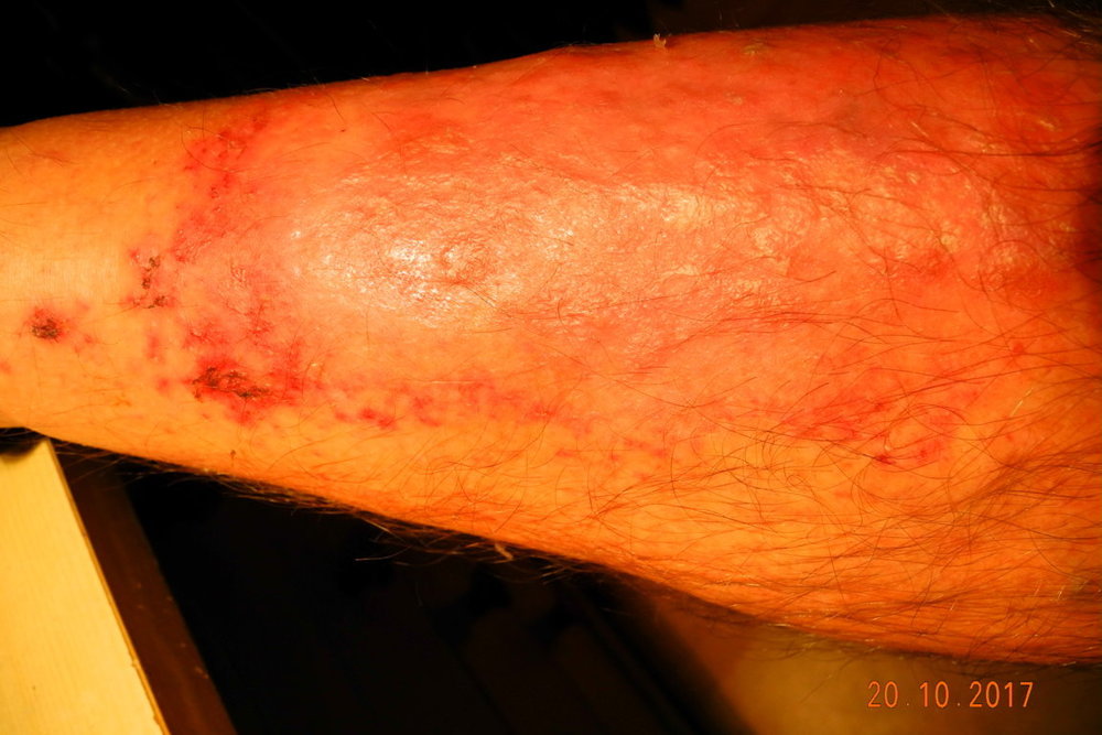 DSCN5088 (FILEminimizer).JPG