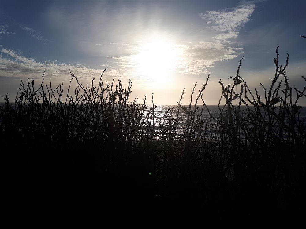 20180424_193015.jpg