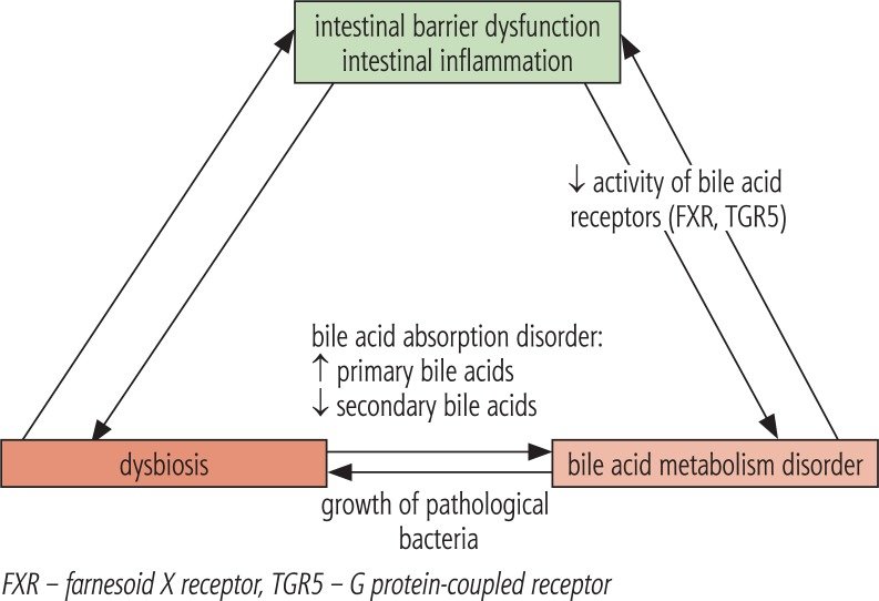 FXR-Wachstum-pathogener-Bakterien.jpg.51000dd58a04a446db1acb40af97c0af.jpg