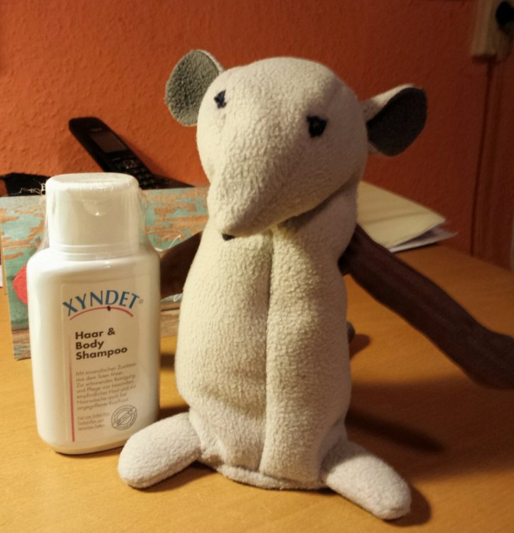 Ratte.thumb.png.2c26e27f42860913fff5e64e3408d5ca.png