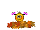 image.gif.cff16fe0d61e5060541f79331e27c448.gif