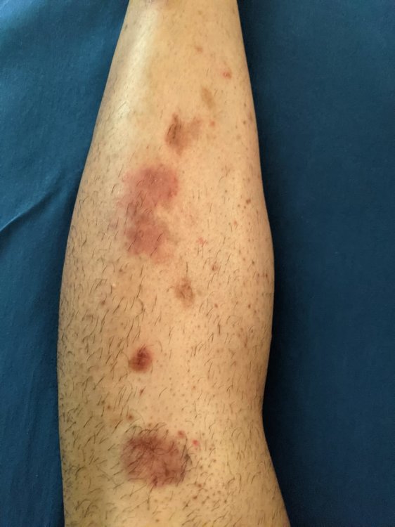 WhatsApp Image 2021-08-25 at 08.55.50.jpeg