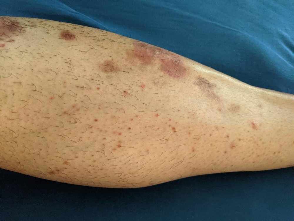 WhatsApp Image 2021-08-25 at 08.55.49.jpeg