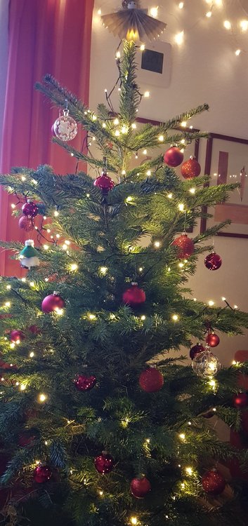 283427717_Weihnachtsbaum20211225_152433.thumb.jpg.77e8e2e679f637663bfd1c903412d05a.jpg