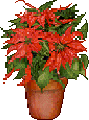 a_385_753c17a1.gif.03a871950d82e460c941a710a68063a5.gif
