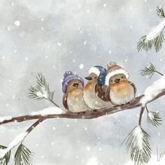 image.jpeg.1ccf5f079ff83af4c03f8b041239b65e.jpeg