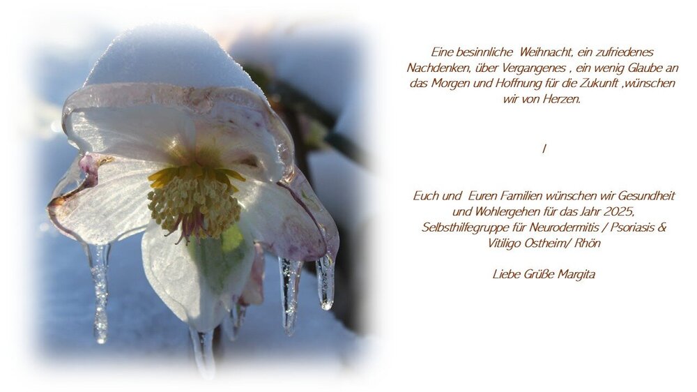 Weihnachtskarte 24 SHG Mail..jpg