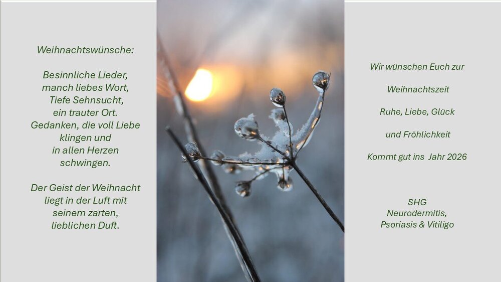 Weihnachten 25 Netz.jpg