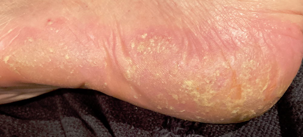 Bildschirmfoto 2025-11-14 um 00.34.46.png