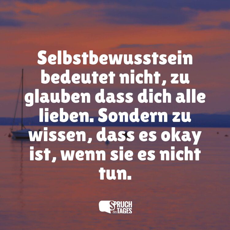 selbstbewusstsein-bedeutet-nicht-zu-glauben-dass-dich-alle-lieben-sondern-zu-wissen-dass-es-okay-ist-wenn-sie-es-nicht-tun.jpg