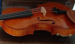 Violina 