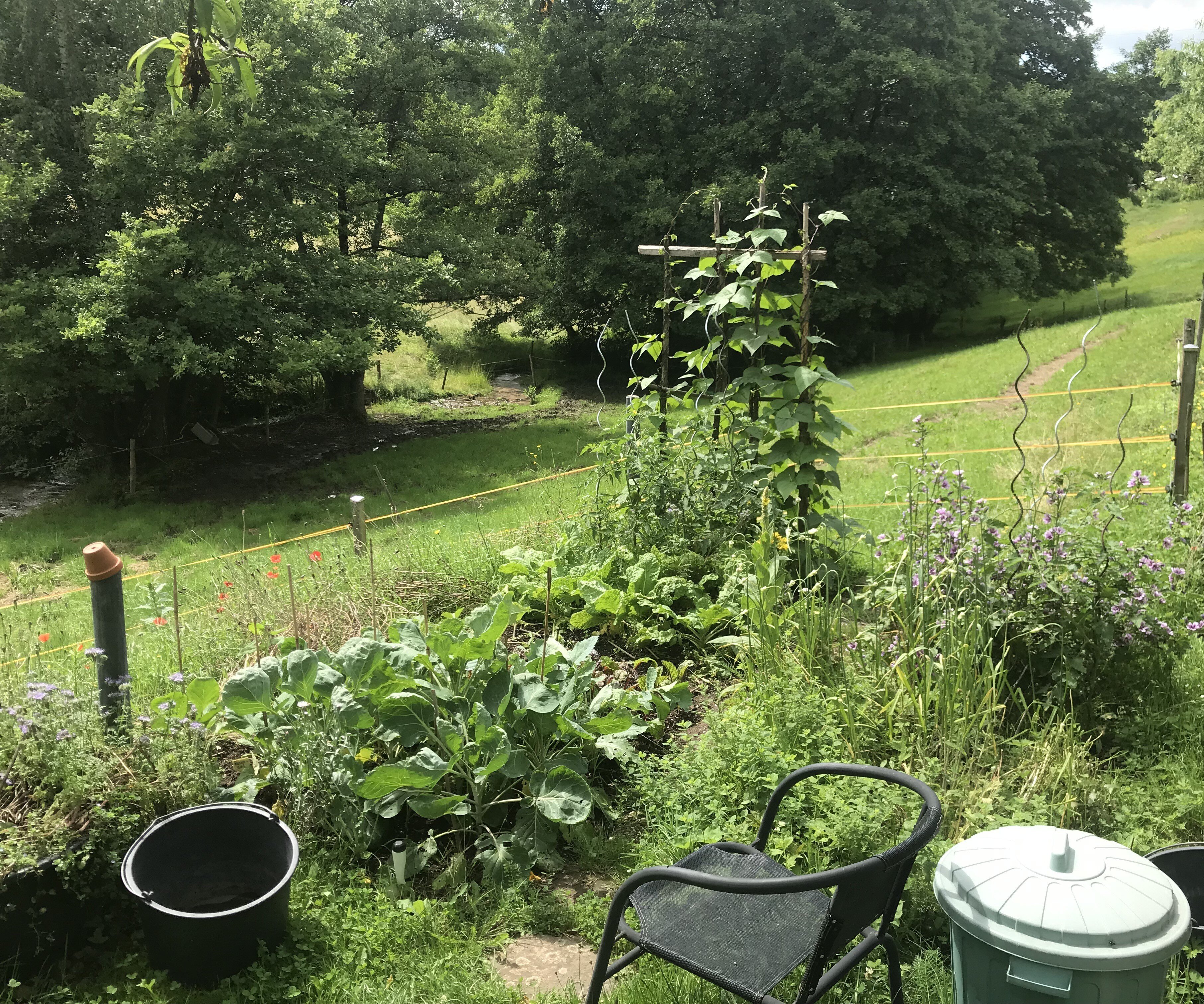 Lieblingsplatz Biogarten