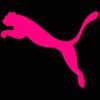puma-anja