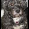 chipsy