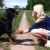 taschi92