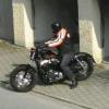 Harley48