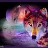 Der Wolf