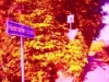 Möhrchen